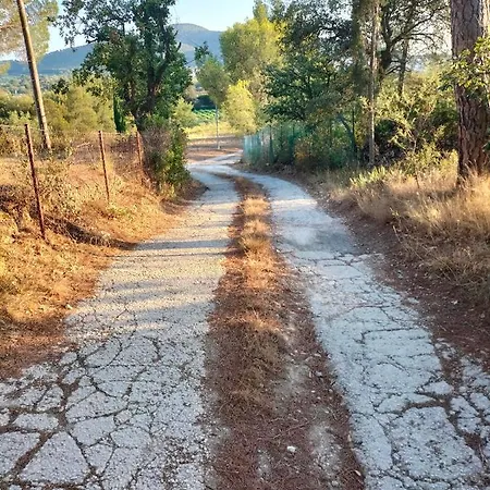 Guiteco * Hyères